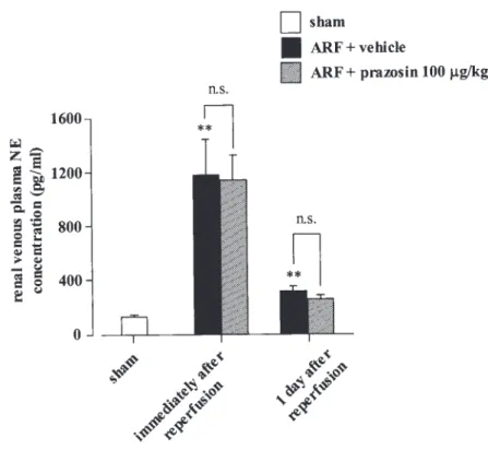 Figure 6.  Effect of prazosin (10-100 μg/kg) treatment on norepinephrine (NE) concentrations in renal venous  plasma  of  ischemia/reperfused  rats