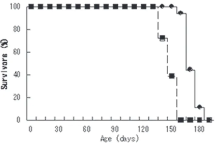Figure 2.  SOD1 gain of toxicity and SOD1 transgenic ratン陽性封入体が出現し，その周囲にグリアの増生が起こる (Figure 2D)。　ALSモデル動物を用いた研究から運動ニューロン死についていくつかのメカニズムが明らかとなっている9。変異SOD1がミトコンドリア膜あるいはミトコンドリア内に蓄積するために傷害されcytochrome cといったアポトーシス因子を放出しアポトーシスを引き起こすというミトコンドリア障害説10，変異SOD1タンパクがミスフォ