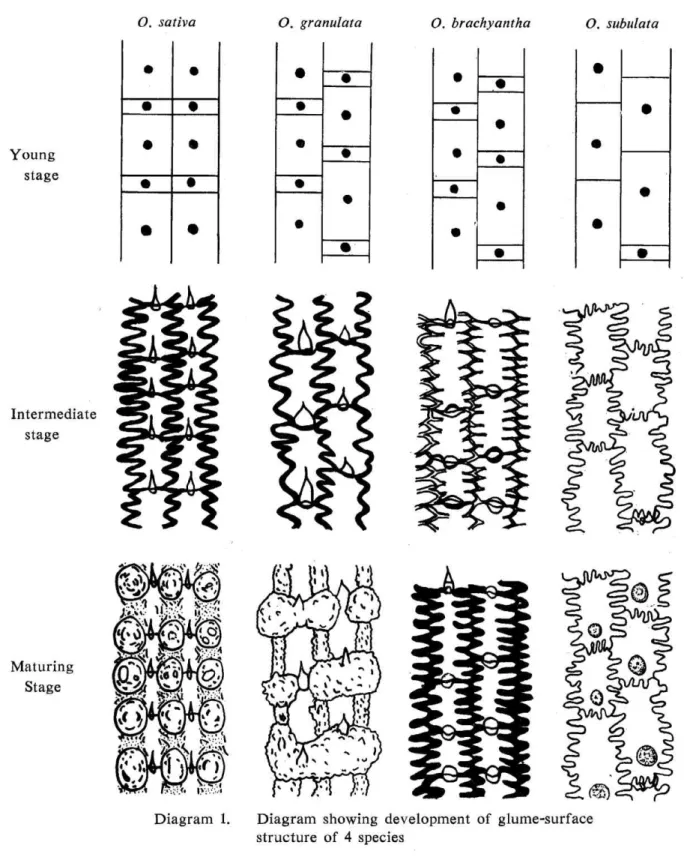 Diagram  1. Diagram  structure