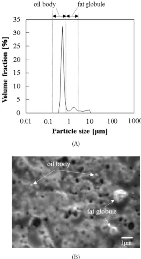 Fig. 4  SEM image of the surface side exposed to air of yuba.
