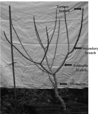 Fig. 3  Changing  with  temperature  at  Ibusuki  in  2010. 