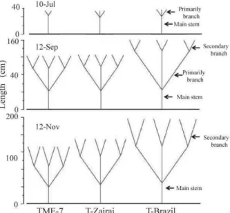Fig.  9  Changing  with  number  of  branches  per  plant. 