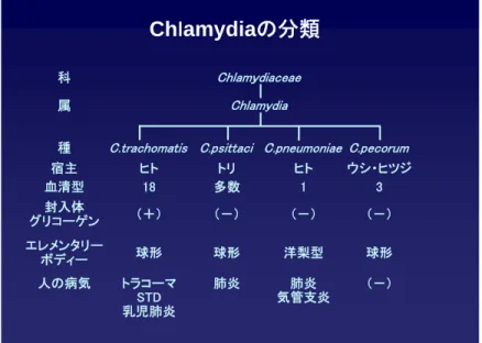 表 Chlamydia の分類