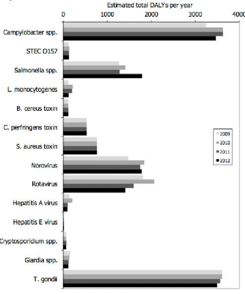 図 2：食品関連病原体別の疾患実被害の推移（2009～2012 年）  病原体別の疾病費用（ COI）  14 種類の食品関連病原体に関連する COI の 2012 年の合計額は 2011 年とほとんど変化 がなく、推定 4 億 1,200 万ユーロであった（表 8）。COI が最も大きかった病原体は、ノ ロウイルス（ 1 億 1,000 万ユーロ）、カンピロバクター属菌（7,300 万ユーロ）、およびロ タウイルス（ 6,500 万ユーロ）であった。逆に COI が最も小さかったのは E 型肝炎ウイル ス