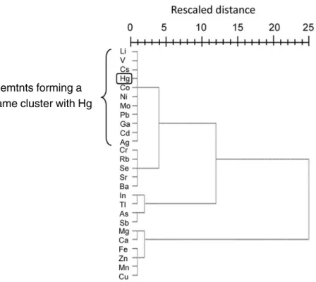 Fig. 2 Dendrogram for trace elements concentrations in the bodies of invertebrates collected from Yambaru area, Okinawa, Japan by a result of cluster analysis.