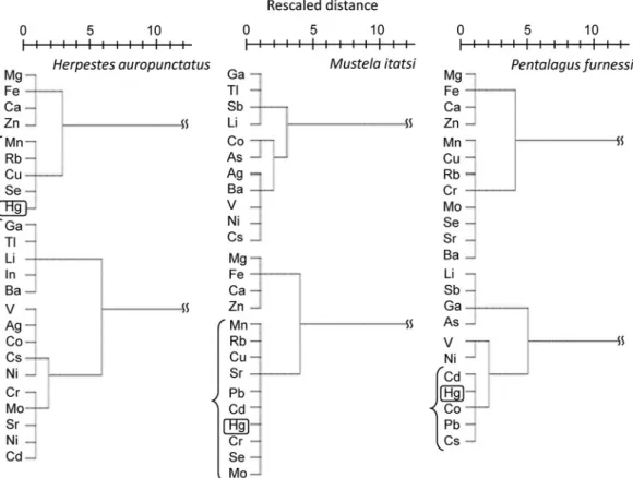 Fig. 4 Dendrograms indicate relationships among trace element concentrations in liver of three mammal species from Nansei Islands, Japan by results of cluster analysis.
