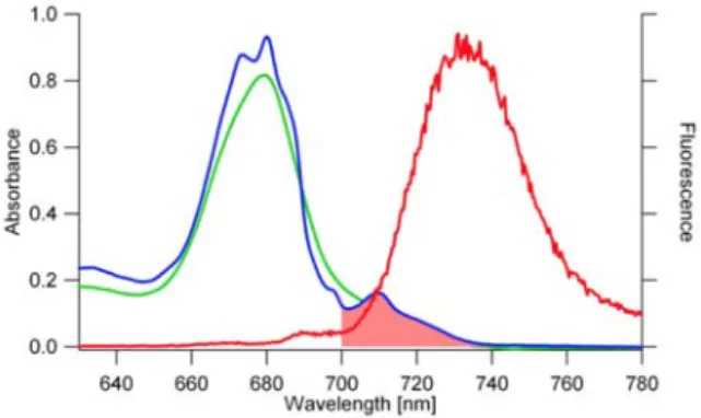 図 1に Thermosynechococcus elongatus 由来光化学系I の 5 K での吸収スペクトルおよび蛍光スペクトルを示 す。青線で示す吸収スペクトルには、680 nm付近のメ インバンドに加えて、red-most  Chl（以下、Red  Chl） と呼ばれる極端に長波長シフトしたクロロフィルの吸 収バンドが長波長側の裾部分、700∼730  nmの領域に 見られる。吸収スペクトルの面積比から、光化学系I に結合するChlのうち約一割はRed  Chlが占めていると 見積もられている 