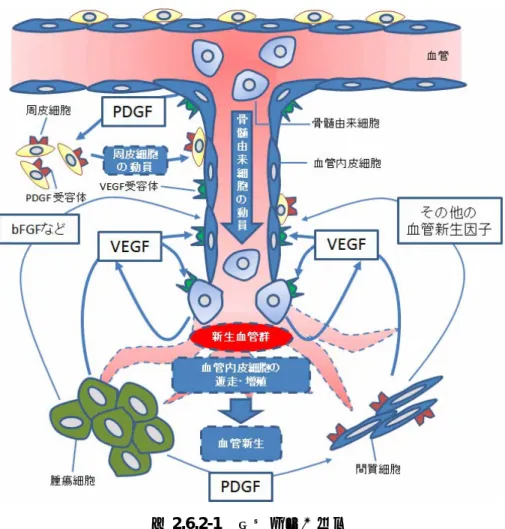 図 2.6.2-1    血管新生の機序      Data source: [Ferrara, 2005]の Figure 1 