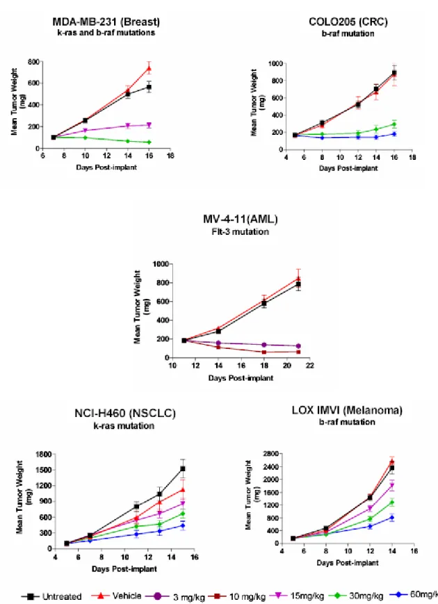 図 2.6.2-2  ヒト腫瘍細胞株を用いた異種移植マウスモデルに対するソラフェニブの腫瘍増殖  抑制効果 
