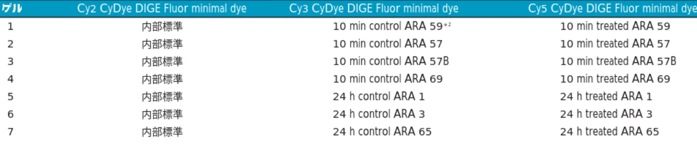 表 7-3. 2D DIGE  による BVA 解析の実験デザイン