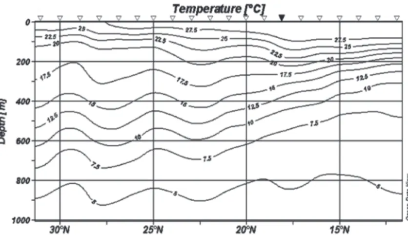 Fig. 4 shows the distribution of salinity in the vertical sec- sec-tion in 2009. 