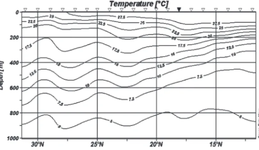 Fig. 4. The distribution of salinity in the vertical section in 2009         ( CTD stations  :  ∇    XBT stations  :  ▼ )