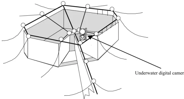 Fig. 7. Position of underwater digital camera and housing on a“Kago-type”set-net.