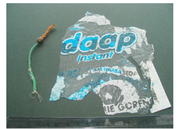 Fig. 1  Plastic litter (gill net (left)  and a part of food package(right)) ingested by a black marlin and a lancetfi sh.