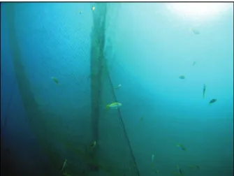 Fig. 12.  Trawl net pulled along the water column. Fig. 13.  Trawl net pulled on the sea bed.
