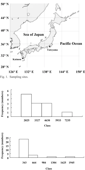 Fig. 3  Frequency distributions of diversity index (Ǭ) for two  fi shing grounds. The upper half shows for Tateyama and the  lower half shows that for Kaimon