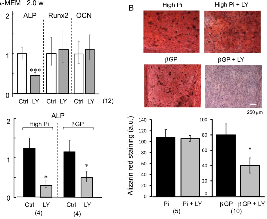 Fig. 7   Suyama et al. 