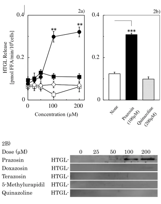 Fig. 2. Comparison of HTGL Release by Alpha 1 Adrenoceptor Antagonists    and Effect of Quinazoline Structure on Release of HTGL from Hepatocyte 
