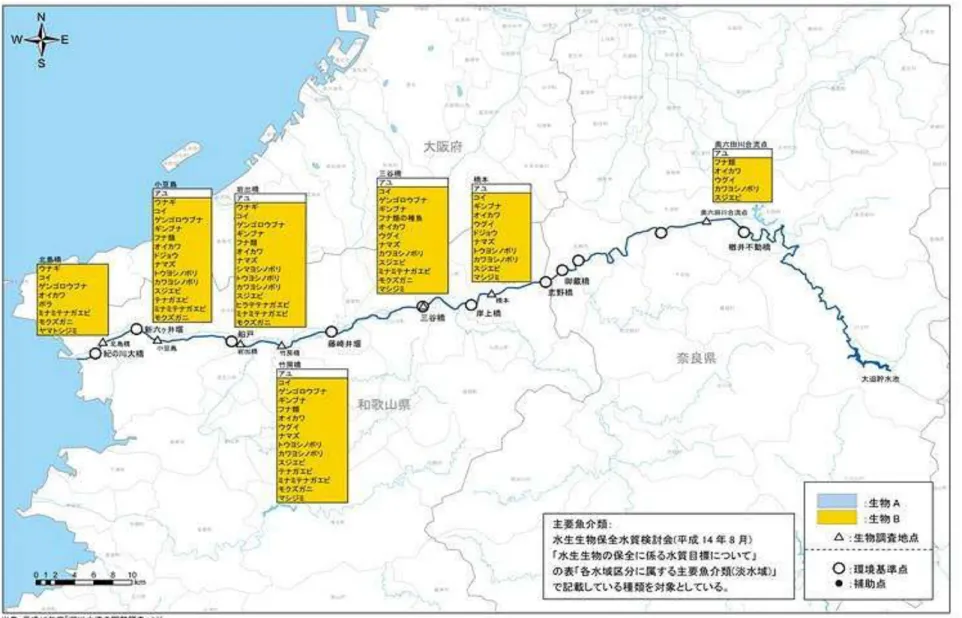 図 5.13  主要魚介類の確認状況(紀の川) 