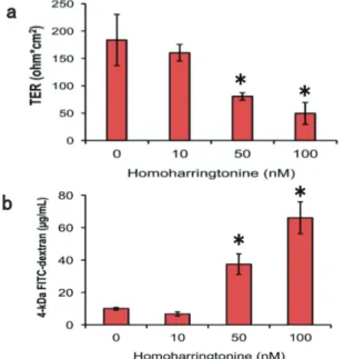Fig. 2　HHT 作用時の細胞間接着分子発現への影響