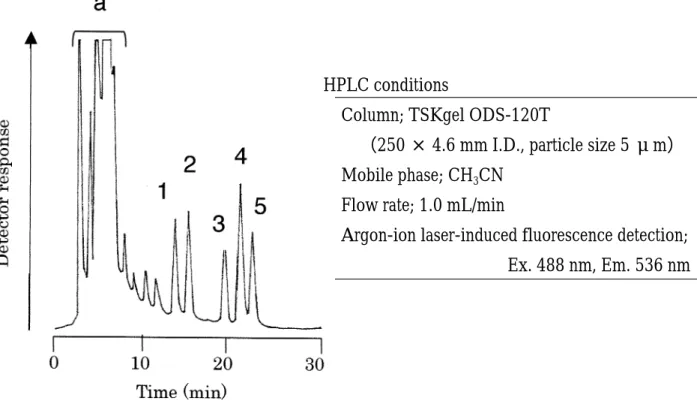 Fig.  9 Chromatogram  obtained  with  a  standard  solution  of  bisphenols（each  10 pmol/injection volume）.