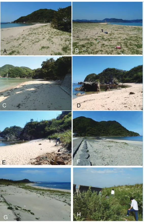 Fig. 2. Photos of beaches surveyed in Spring in 2015 in Kyoto and Tottori Prefectures (A–C:Kyotango City