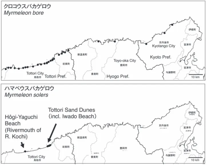 Fig. 4. Distribution of two pit-dwelling species of ant-lions, Myrmeleon bore and Myrmeleon solers in the area of the San’in Coast Geopark (Kyoto,  Hyogo and Tottori Pref.) based on data obtained from the present survey and known literature records.
