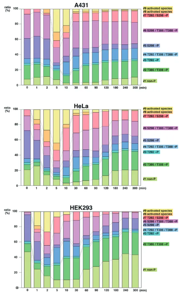 Fig. 4  Changes in relative abundance ratios of multiple endogenous MEK1 species before and after EGF stimulation