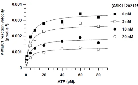 図 2.6.2-6        P-MEK1 に対する ATP との阻害様式           Data source: UH2008/00021/00 の Figure 2