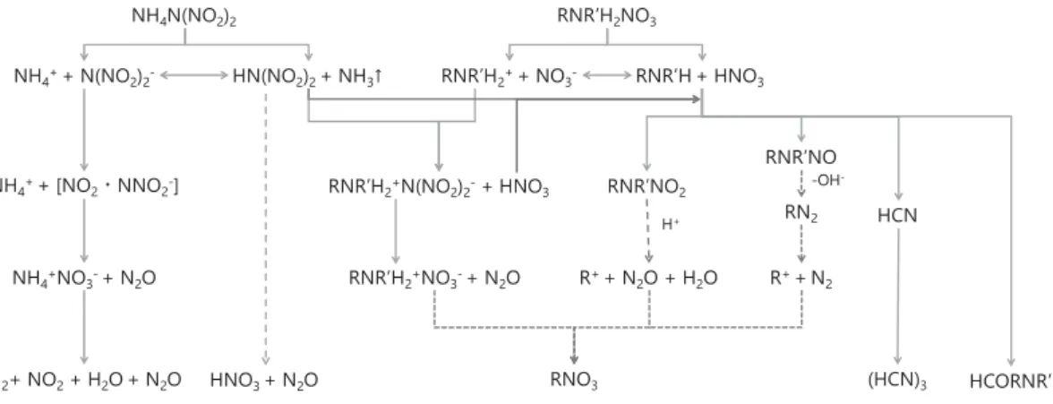 図 本研究により推定された ADN／アミン硝酸塩の反応機構