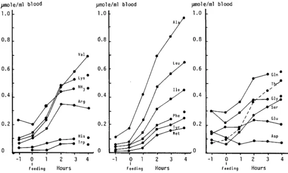 Fig. 4. Changes in concentration of the amino acids of the eel after feeding.