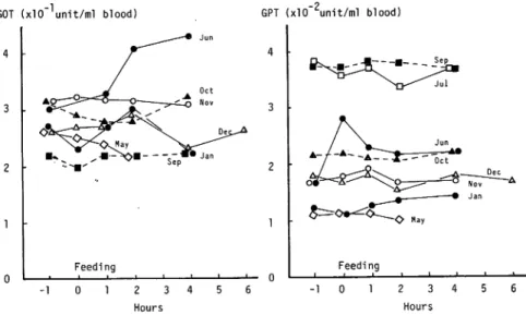 Fig. 6. Changes of transaminase activities in the eel blood after feeding.