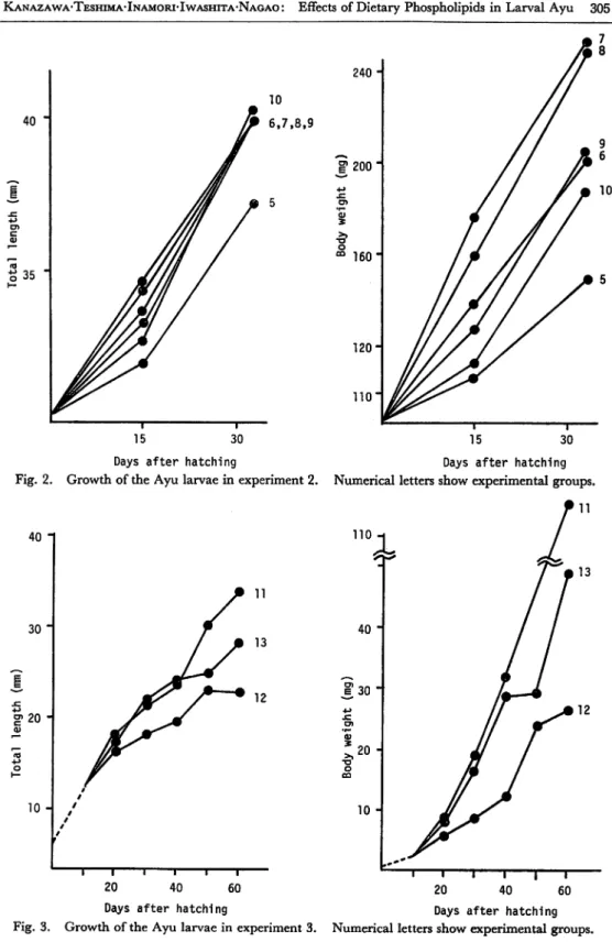 Fig. 2. Growth of the Ayu larvae in experiment 2. Numerical letters show experimental groups.