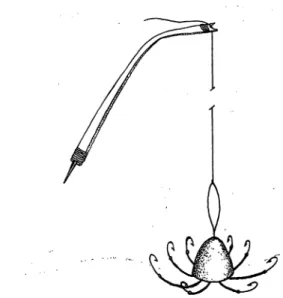 Fig. 10. Jig and bite indicator (ANGKLANG BUNIT) for fish (Batan, Aklanj.