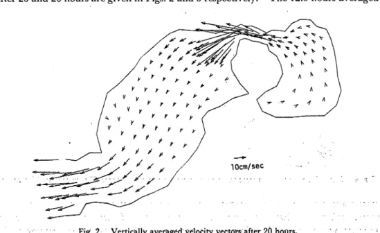 Fig. 2. Vertically averaged velocity vectors-after 20 hours.