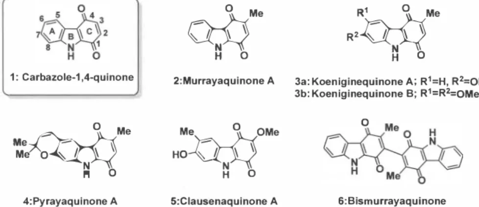 Figure 1: Carbazole-1,4-quinone alkaloids. 