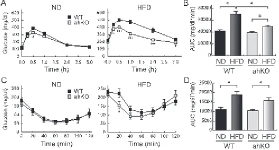 Figure 7. Glucose and insulin tolerance in normal diet- and high-fat diet-fed mice 　高脂肪食 (HFD) または通常食 (ND) を負荷した 15 週齢マウスを終夜絶食し、経口糖負荷試 験を行った結果 (A,B) および 4 時間絶食し、インスリン負荷試験を行った結果 (C,D) を示す。 