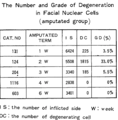 Fig.  3  The  Grade  of  Degeneration  in  Facial    Nuclear  Cells  (amputated  group)