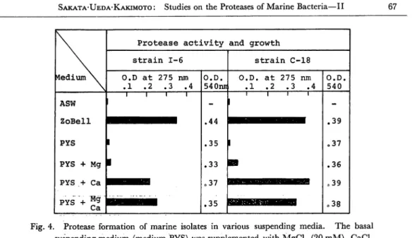 Fig. 5. Effect of Ca++ ion concentration on protease formation by washed cells suspended in media PYS