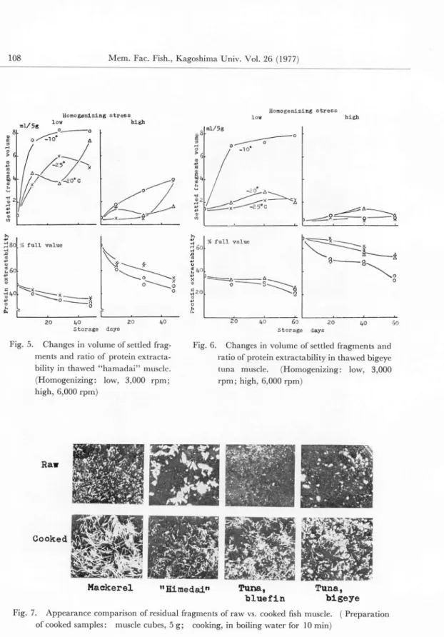 Fig. 5. Changes in volume of settled frag ments and ratio of protein extracta bility in thawed "hamadai" muscle.