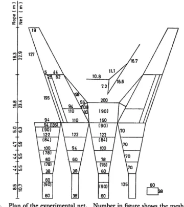Fig. 4. Plan of the experimental net. Number in figure shows the mesh number, bracket number shows the mesh size (mm).