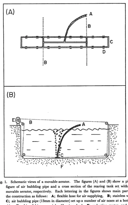 Fig. 1. Schematic viewsof a movable aerator. The figures (A) and (B) show a plane figure of air bubbling pipe and a cross section of the rearing tank set with the movable aerator, respectively