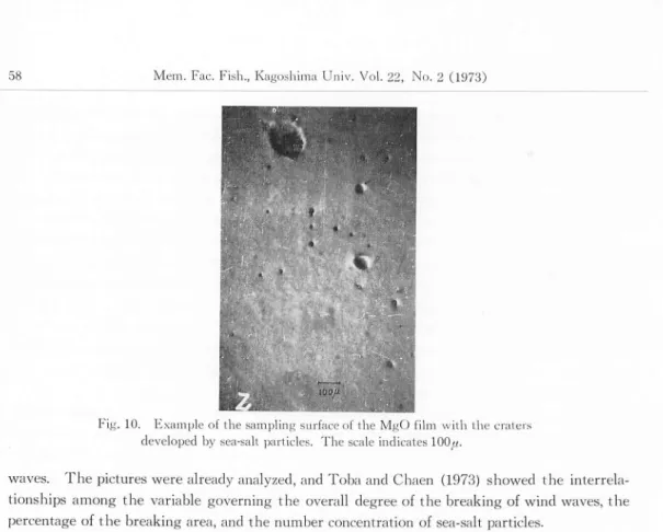 Fig. 10. Example of the sampling surface of the MgO film with the craters developed by sea-salt particles