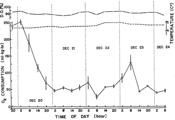 Fig. 5. Diurnal variation of rate of oxygen consumption under the continuous lightcondition ('light').