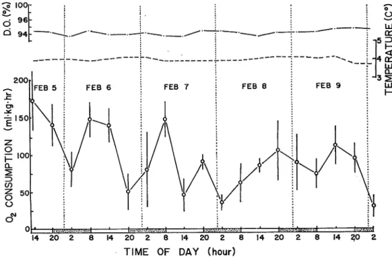 Fig. 7. Diurnal variation of rate of oxygen consumption under alternating light and dark every twelve hour ('12-hour')