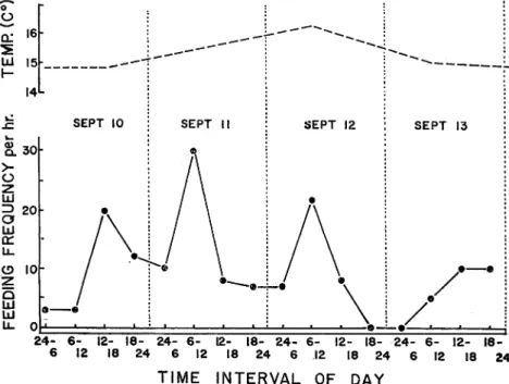 Fig. 9. Diurnal variation of rate of feeding activity under 'control' condition in the hatchery