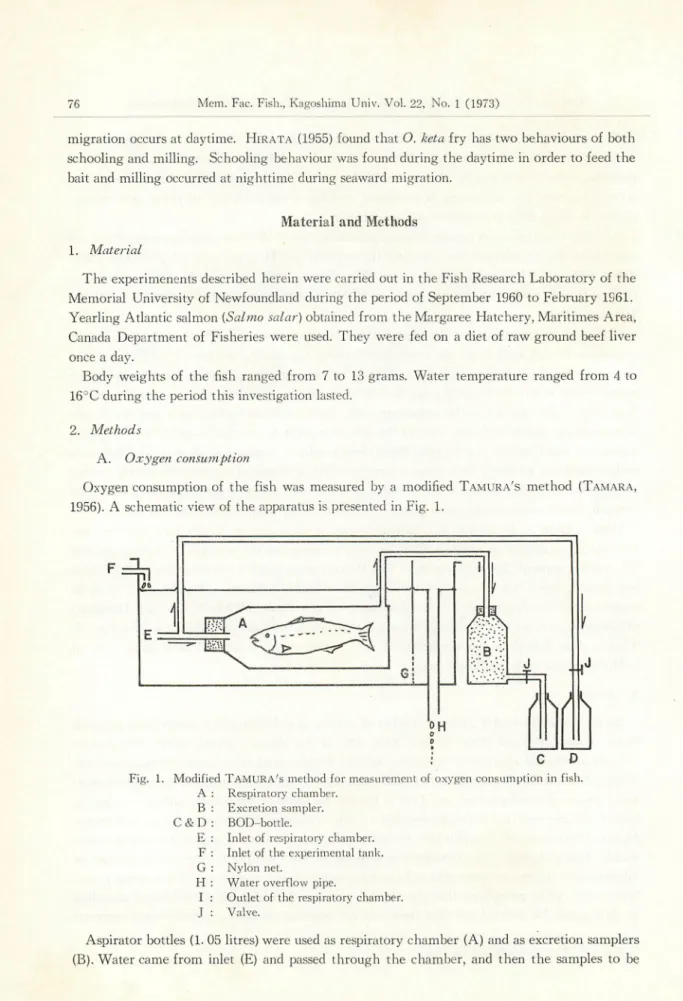 Fig. 1. Modified TAMURA's method for measurement of oxygen consumption in fish.