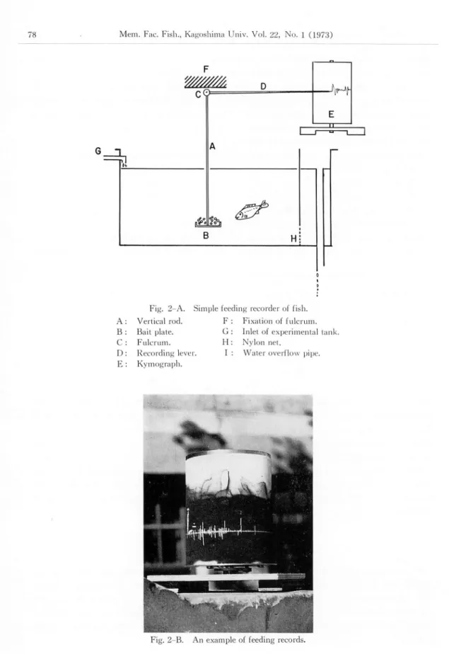 Fig. 2-A. Simple feeding recorde i" ol lish.