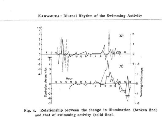 Fig. 4. Relationship between the change in illumination (broken line) and that of swimming activity (solid line).