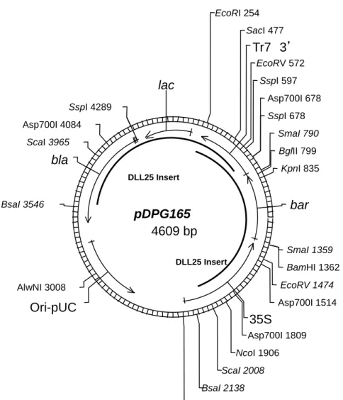図 1    プラスミドベクターpDPG165  1                                                   1   本図に記載された情報に係る権利及び内容の責任は日本モンサント株式会社に帰属する。 pDPG165 4609 bpAlwNI 3008Asp700I 678Asp700I 1514Asp700I 1809Asp700I 4084BamHI 1362BglII 799BsaI 2138BsaI 3546EcoRI 254EcoRV 572EcoRV 1